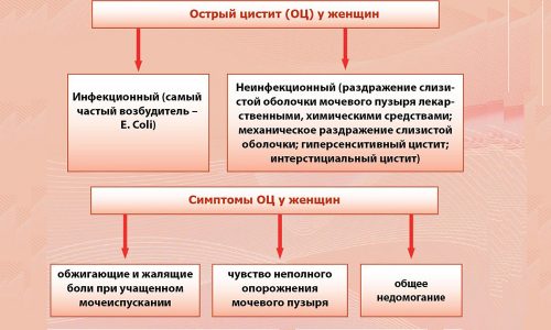 Если развилась острая форма цистита, препараты на основе растительных компонентов помогут частично снять симптомы