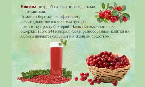 Клюквенный морс считается мощным средством для лечения и профилактики воспалений урологического характера