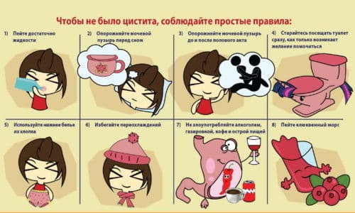 Если женщину неоднократно беспокоил цистит и у нее случались рецидивы, то до того, как планировать беременность, она должна пройти полное медицинское обследование, выяснить причину недуга и и заняться лечением, поскольку цистит в период вынашивания сложно лечить