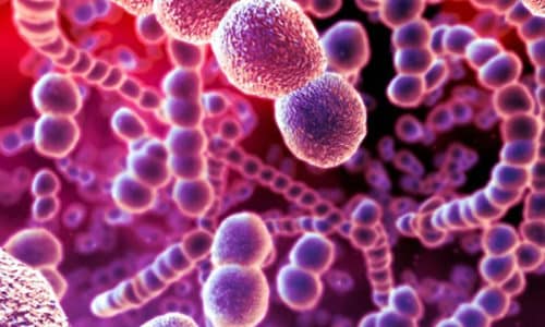 Чаще всего возникновение цистита провоцируют болезнетворные бактерии, поэтому начинать лечение необходимо с борьбы с ними. Для этого назначаются антибактериальные препараты
