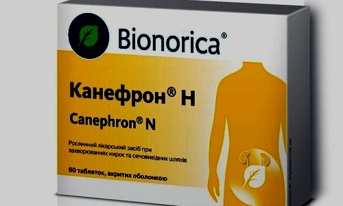 Препарат Канефрон разрешено принимать детям от 1 года и беременным женщинам